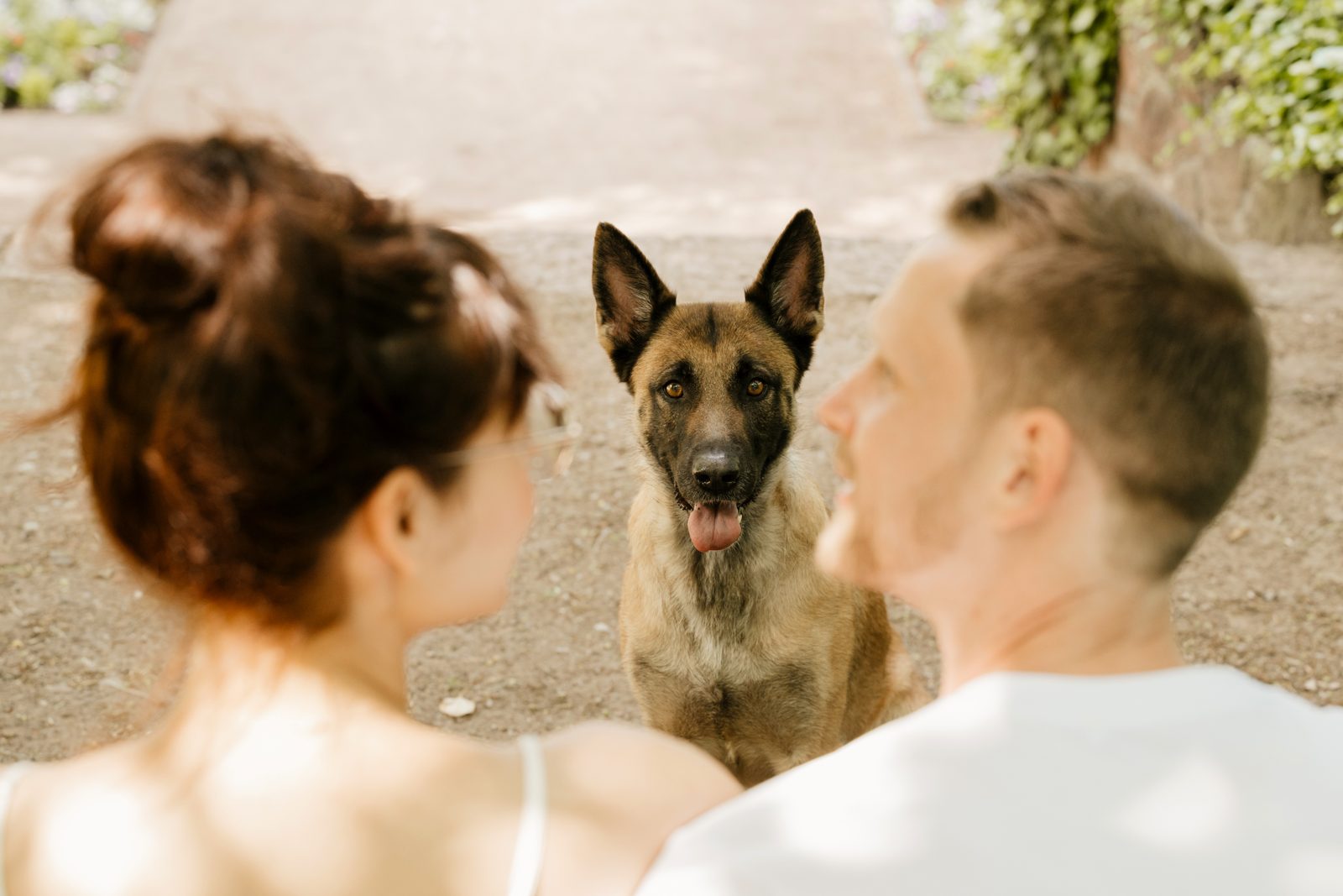 Mali sitzt vor Clemens und Ronja und schaut sie aufmerksam an
